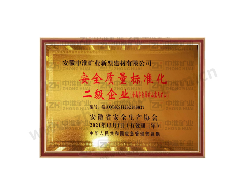 安全質量標準化二級企業