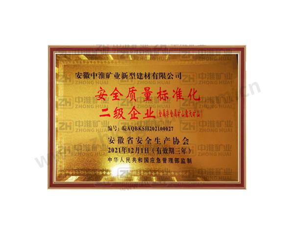 安全質量標準化二級企業